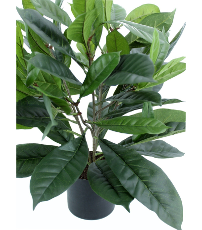 Ficus artificiel cyathistipula