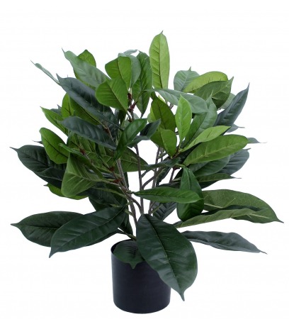 Ficus artificiel cyathistipula