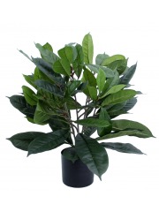 Ficus artificiel cyathistipula