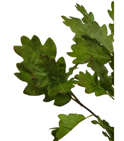 Branche de chêne artificielle