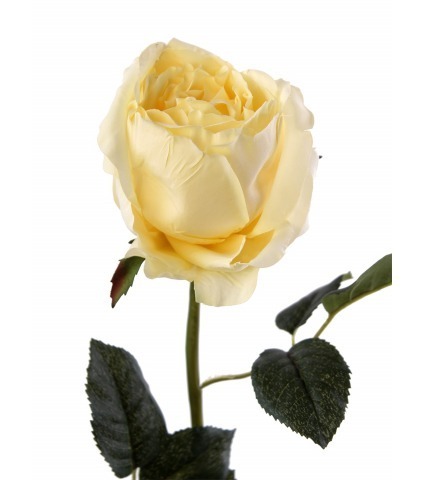 Rose ancienne artificielle