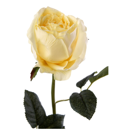 Rose ancienne artificielle