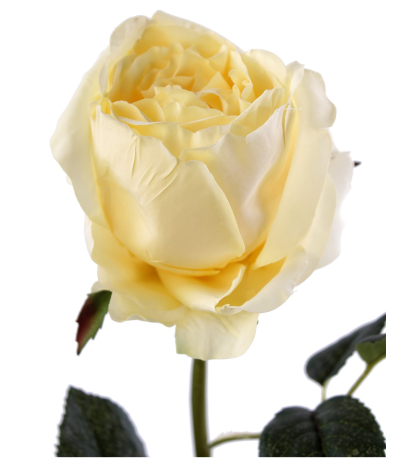 Rose ancienne artificielle