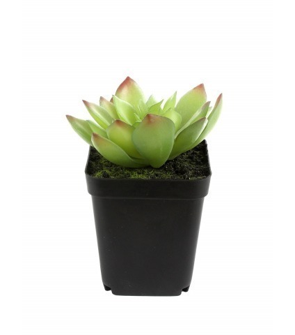 Mini agave artificiel