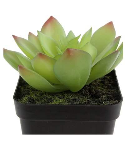 Mini agave artificiel