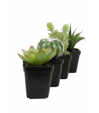 Mini agave artificiel