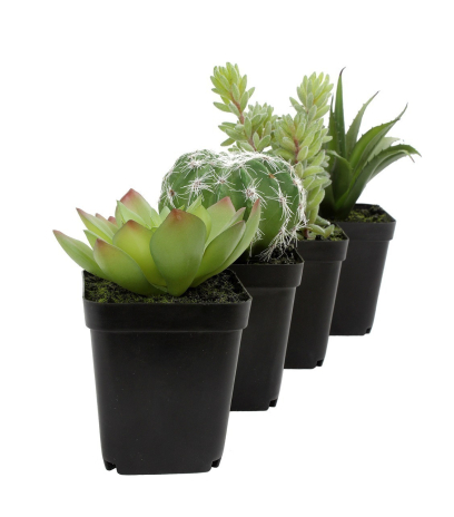 Mini agave artificiel