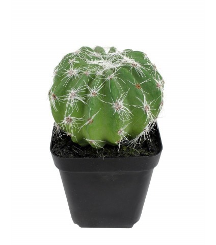Mini cactus boule artificiel