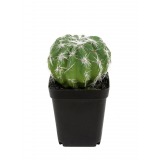 Mini cactus boule artificiel