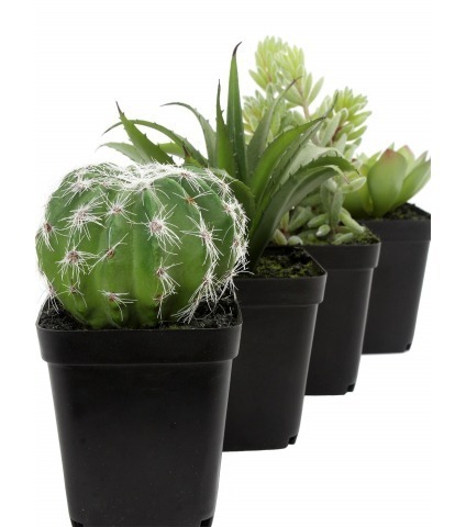 Mini cactus boule artificiel