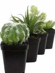 Mini cactus boule artificiel