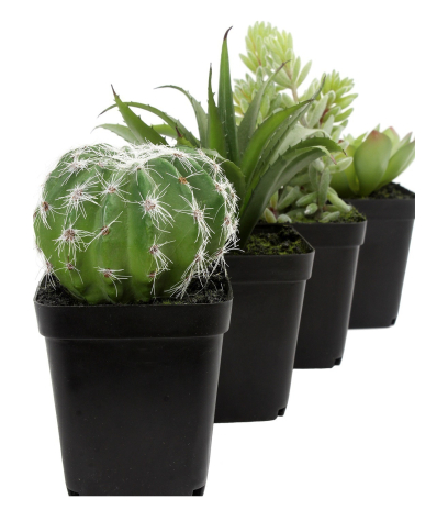 Mini cactus boule artificiel