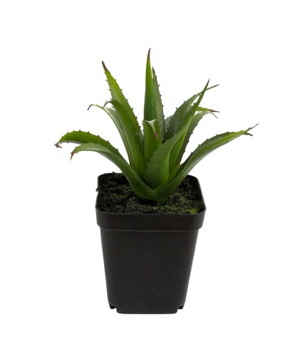 Mini aloé ferox artificiel