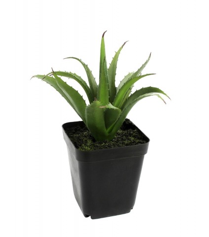 Mini aloé ferox artificiel