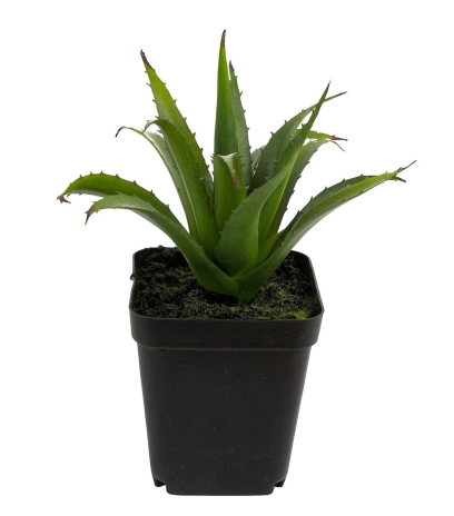Mini aloé ferox artificiel