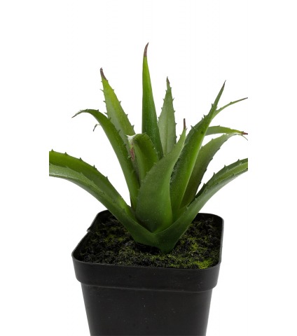 Mini aloé ferox artificiel