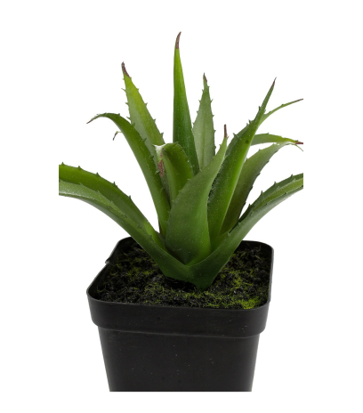 Mini aloé ferox artificiel
