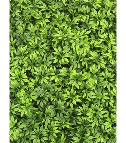 Plaque artificielle graminée