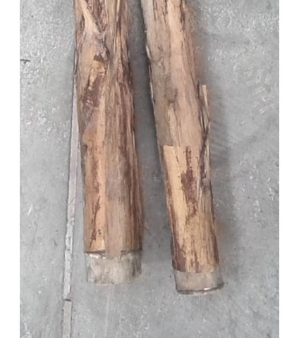 Bananier artificiel géant