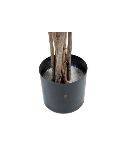 Pot