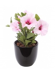 Pétunia artificiel rose