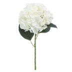 Plantes fleuries artificielles