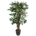 Ficus artificiels
