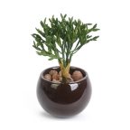 Cactus artificiels