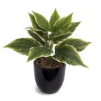Plantes vertes artificielles