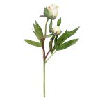 Pivoines artificielles