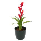 Plantes exotiques artificielles
