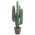 Cactus artificiels