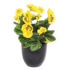 Plantes fleuries artificielles