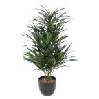 Plantes artificielles d'int&eacute;rieur