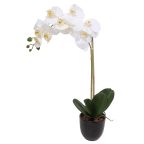 Orchid&eacute;es artificielles